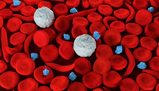 Cellular Disease: The Hidden Root of Chronic Illness